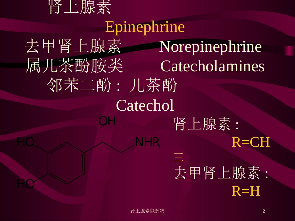 肾上腺素能药物培训课件.pptx_第2页