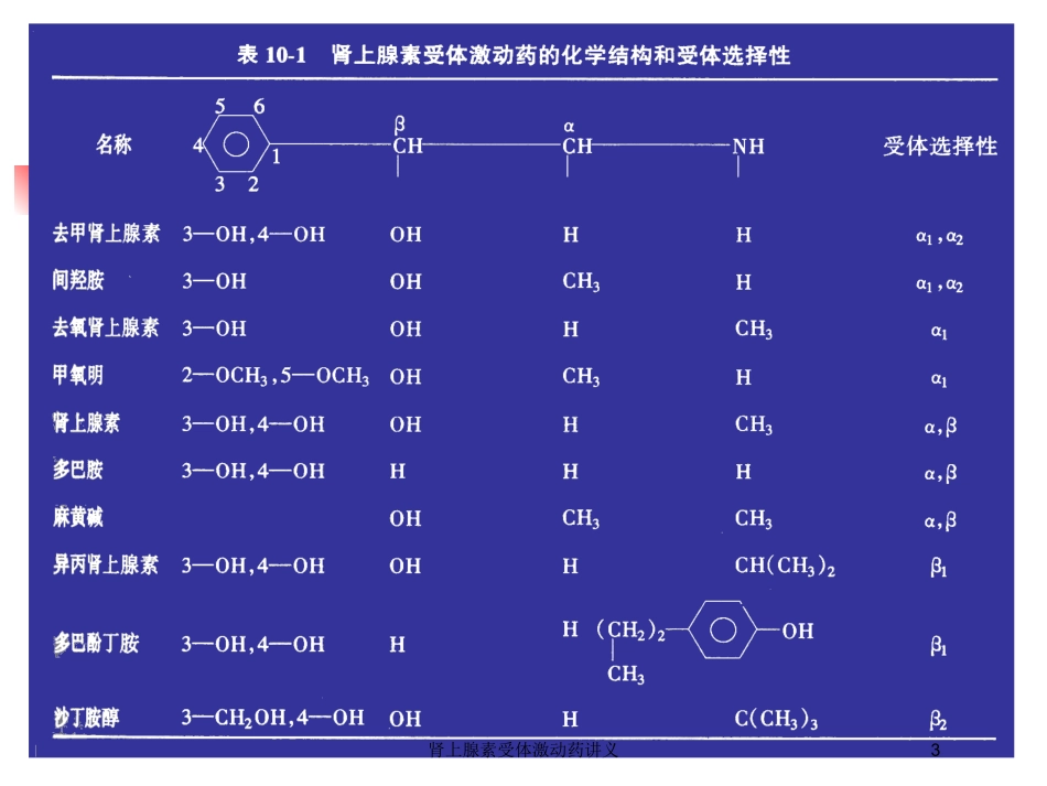 肾上腺素受体激动药讲义培训课件.pptx_第3页