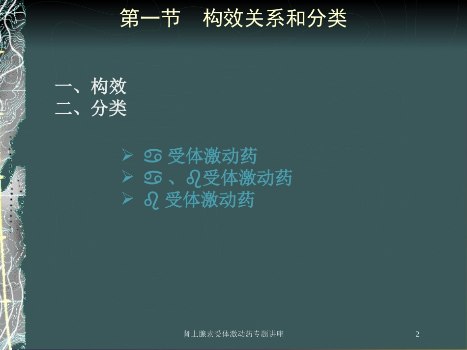 肾上腺素受体激动药专题讲座培训课件.pptx_第2页