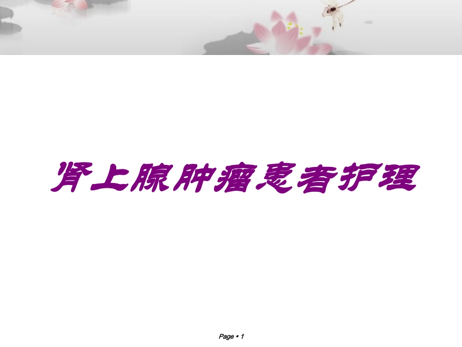 肾上腺肿瘤患者护理培训课件.pptx_第1页