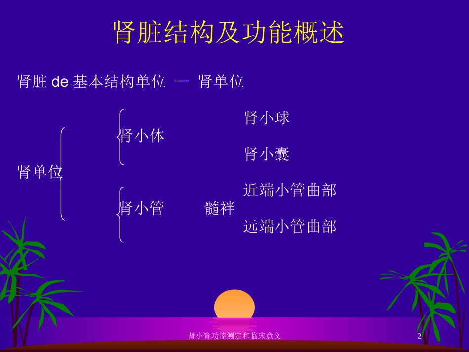 肾小管功能测定和临床意义培训课件.pptx_第2页