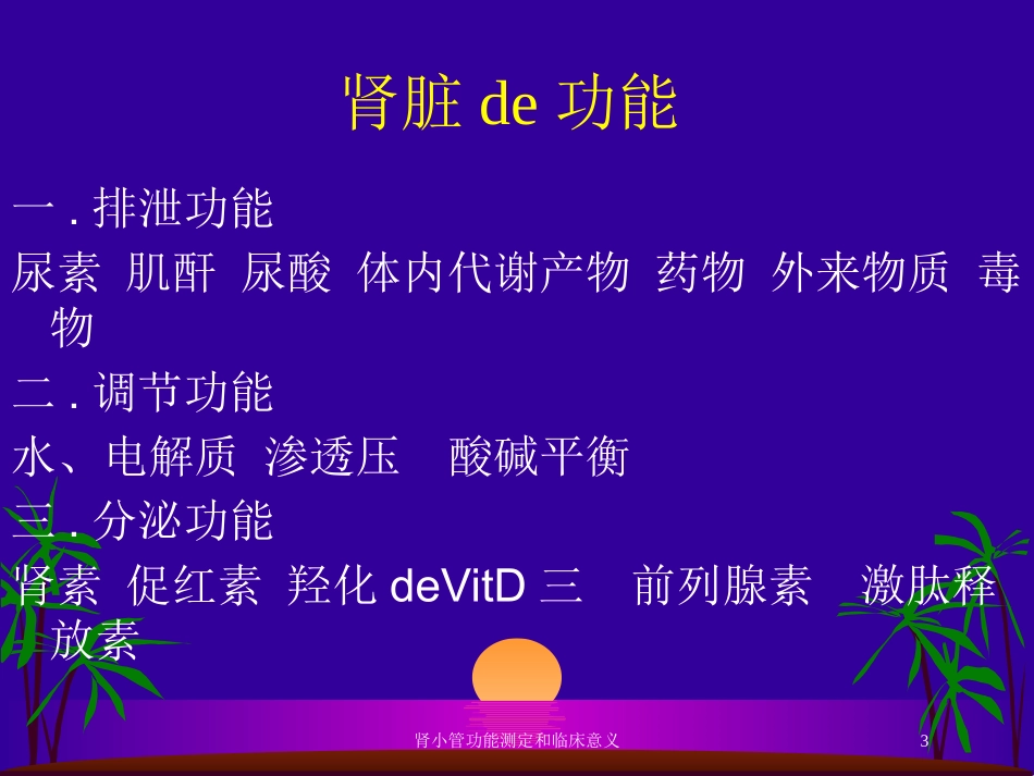 肾小管功能测定和临床意义培训课件.pptx_第3页