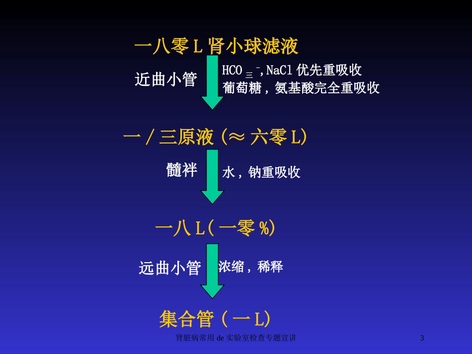 肾脏病常用的实验室检查专题宣讲培训课件.pptx_第3页