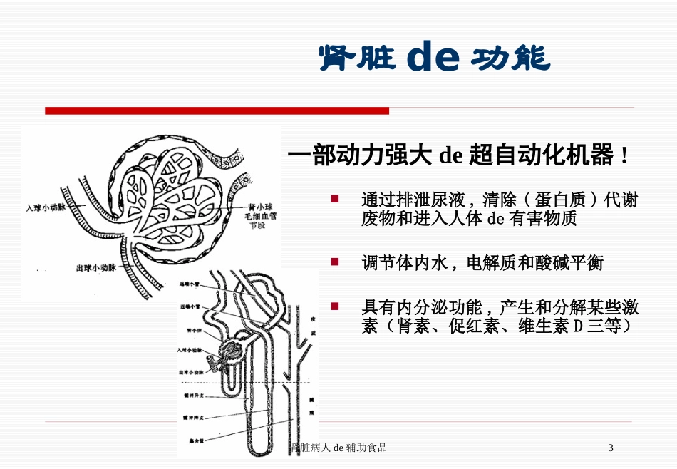 肾脏病人的辅助食品培训课件.pptx_第3页