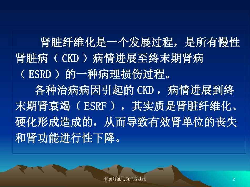 肾脏纤维化的形成过程培训课件.pptx_第2页