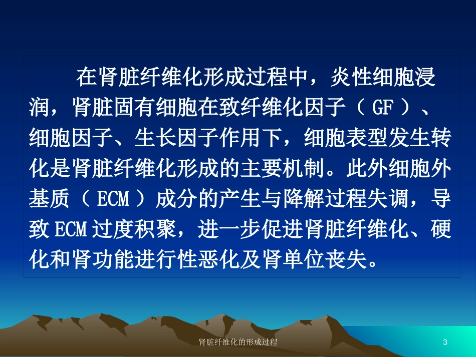 肾脏纤维化的形成过程培训课件.pptx_第3页