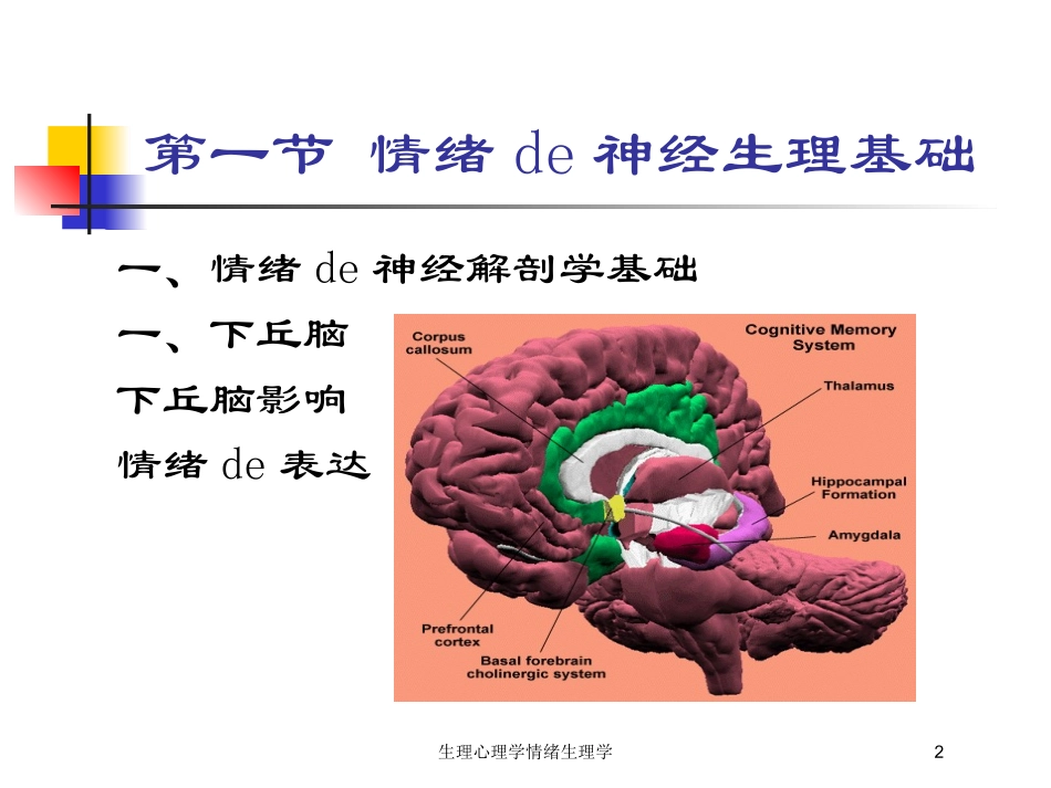生理心理学情绪生理学培训课件.pptx_第2页