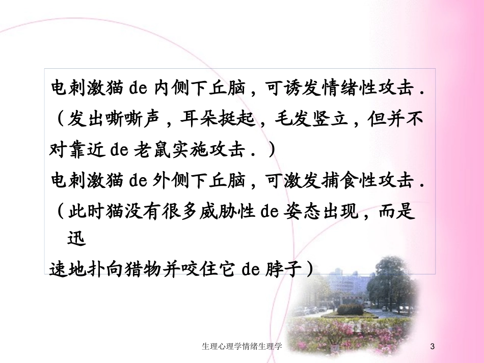生理心理学情绪生理学培训课件.pptx_第3页