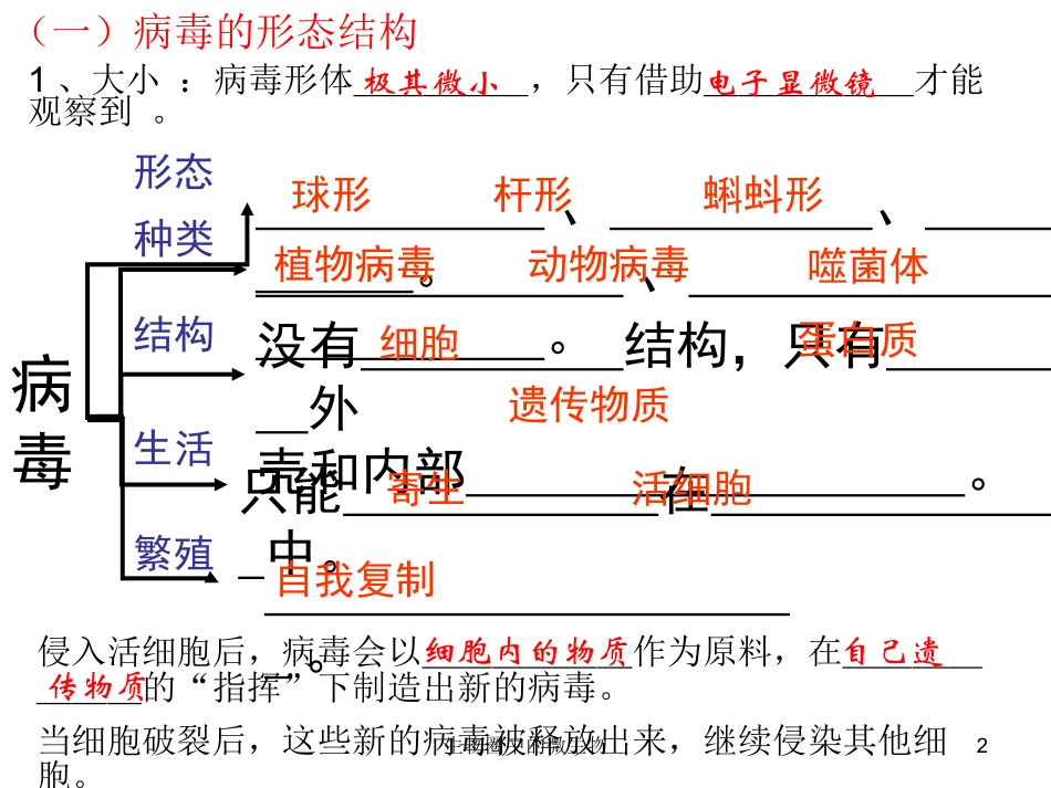 生物圈中的微生物培训课件.pptx_第2页