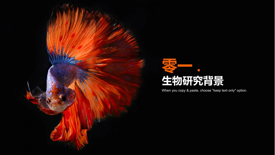 生物医疗基因主题模板11.pptx_第3页