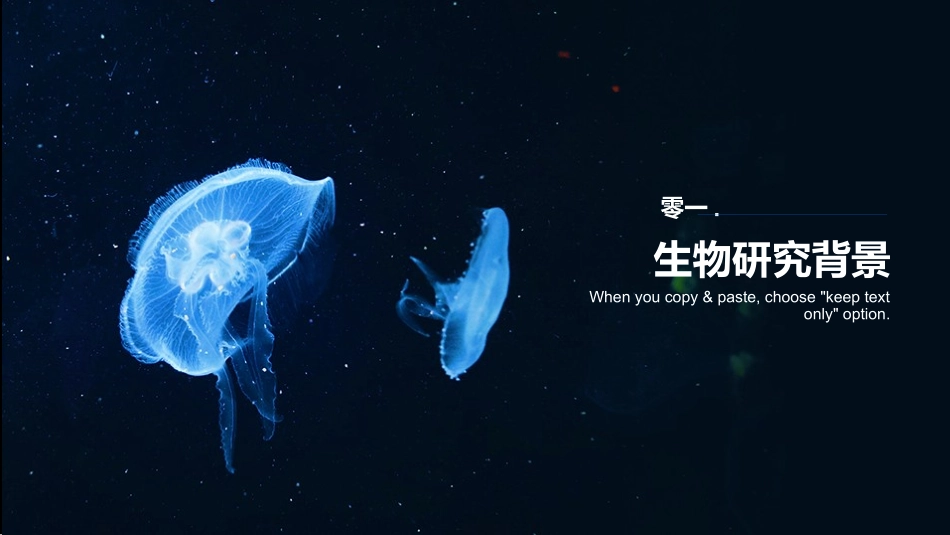 生物医疗基因主题模板14.pptx_第3页