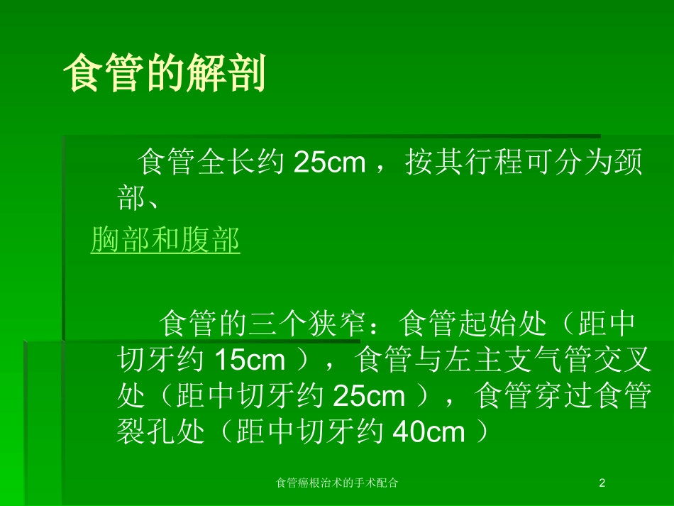 食管癌根治术的手术配合培训课件.pptx_第2页