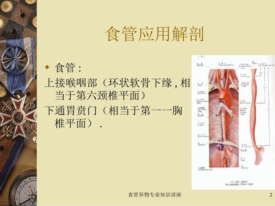 食管异物专业知识讲座培训课件.pptx_第2页