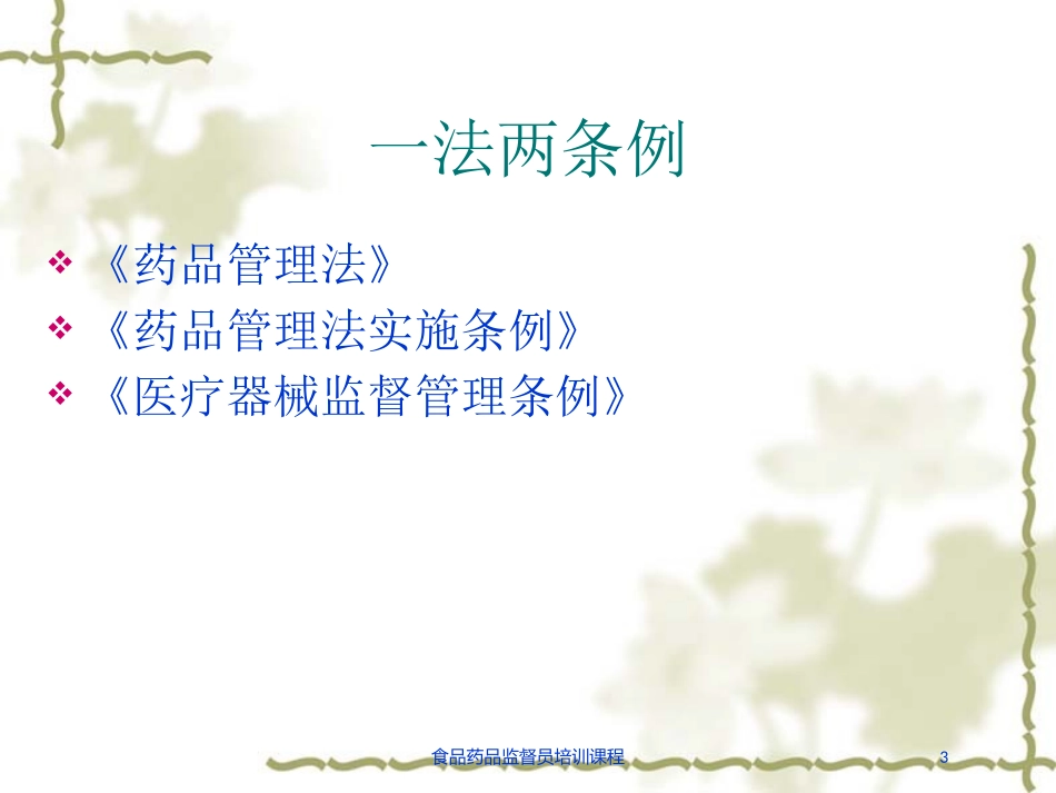 食品药品监督员培训课程培训课件.pptx_第3页