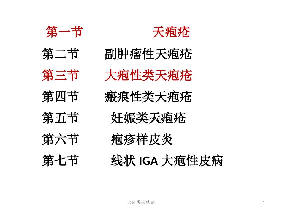 大疱类皮肤病课件.pptx_第1页