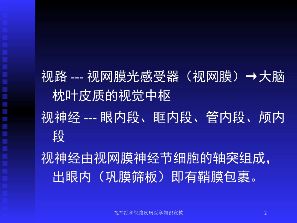 视神经和视路疾病医学知识宣教培训课件.pptx_第2页