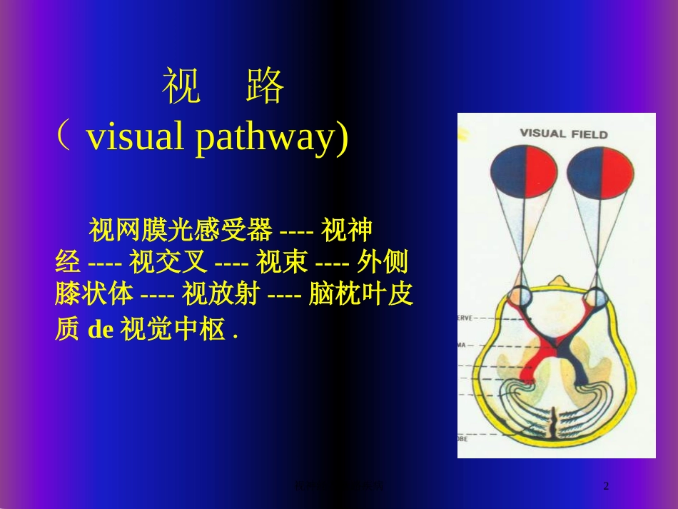 视神经及视路疾病培训课件.pptx_第2页
