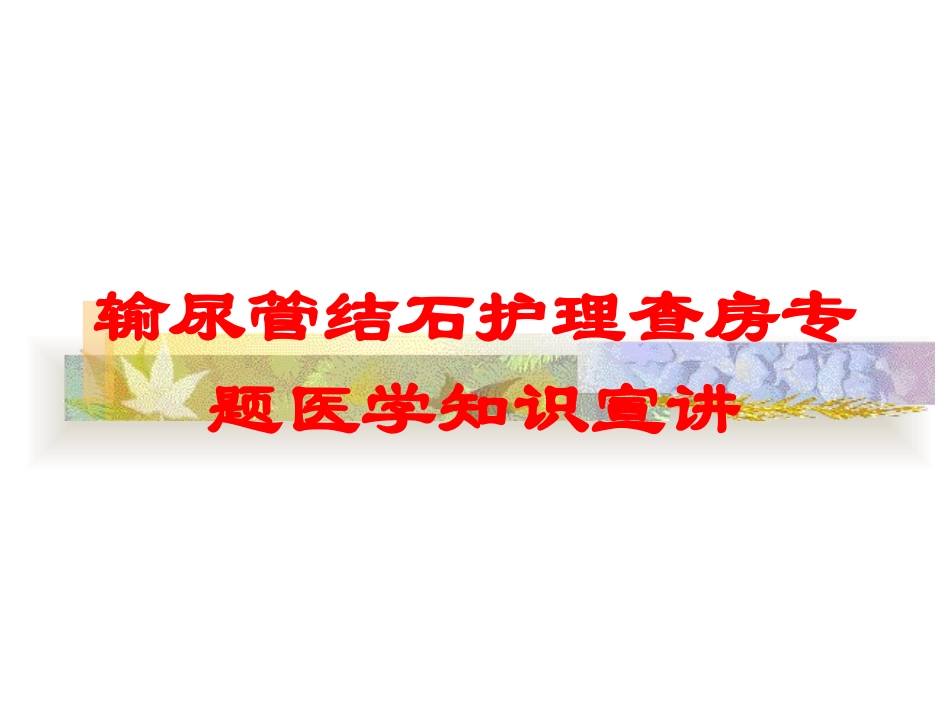 输尿管结石护理查房专题医学知识宣讲培训课件.pptx_第1页