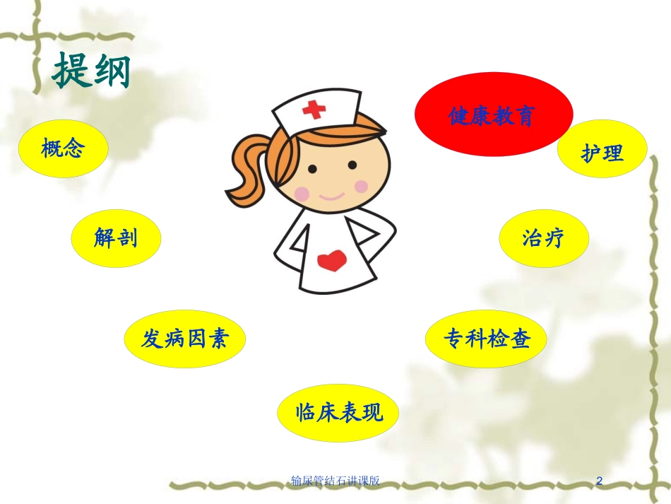 输尿管结石讲课版培训课件.pptx_第2页