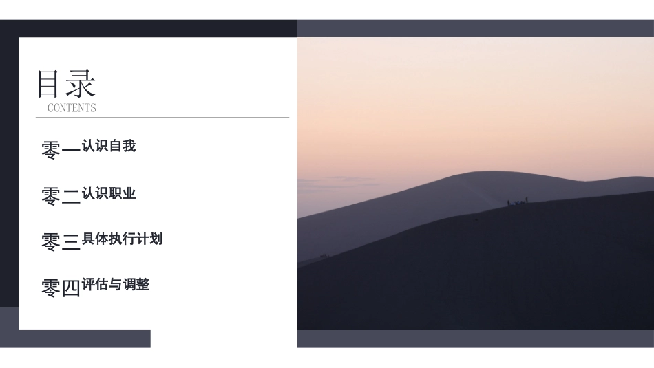 大学生职业规划26.pptx_第2页