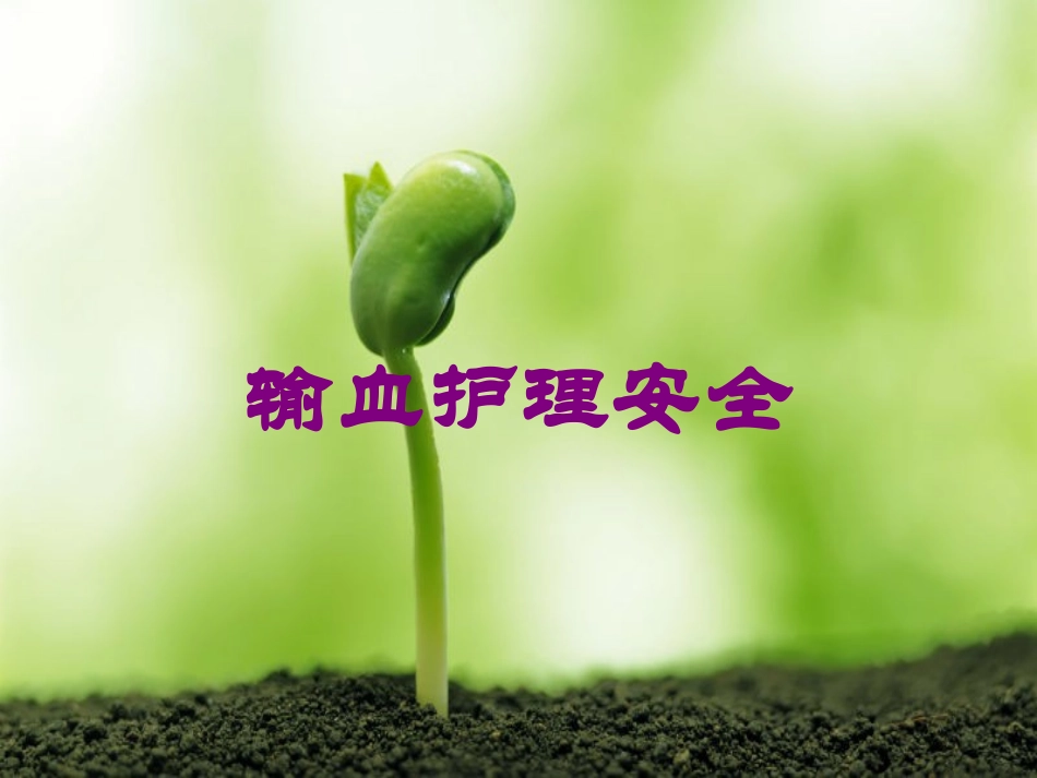输血护理安全培训课件.pptx_第1页