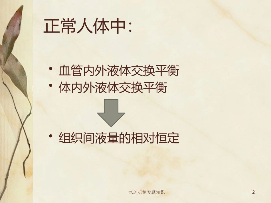 水肿机制专题知识培训课件.pptx_第2页