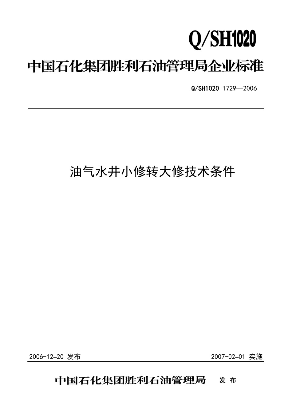 QSH 1020 1729-2006 油气水井小修转大修技术条件.pdf_第1页