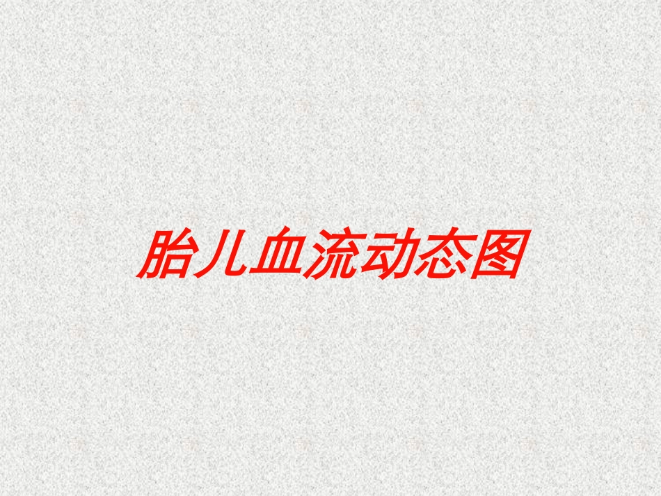 胎儿血流动态图培训课件.pptx_第1页
