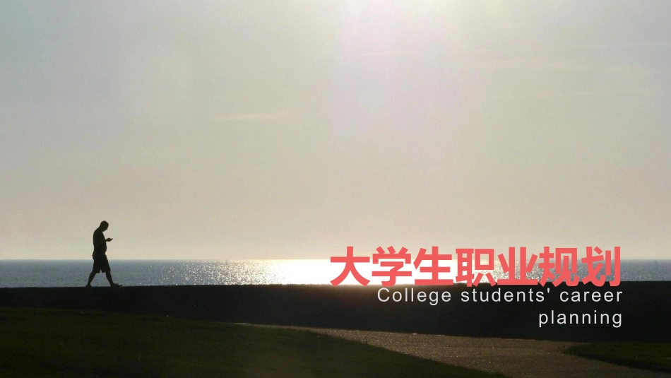 大学生职业规划142.pptx_第1页