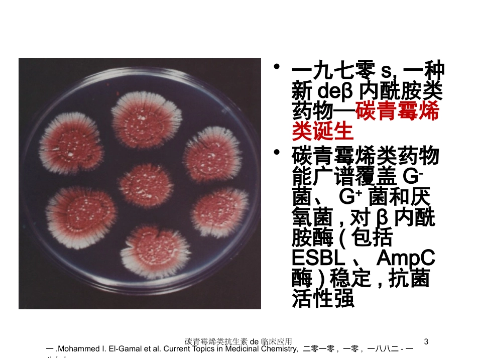 碳青霉烯类抗生素的临床应用培训课件.pptx_第3页