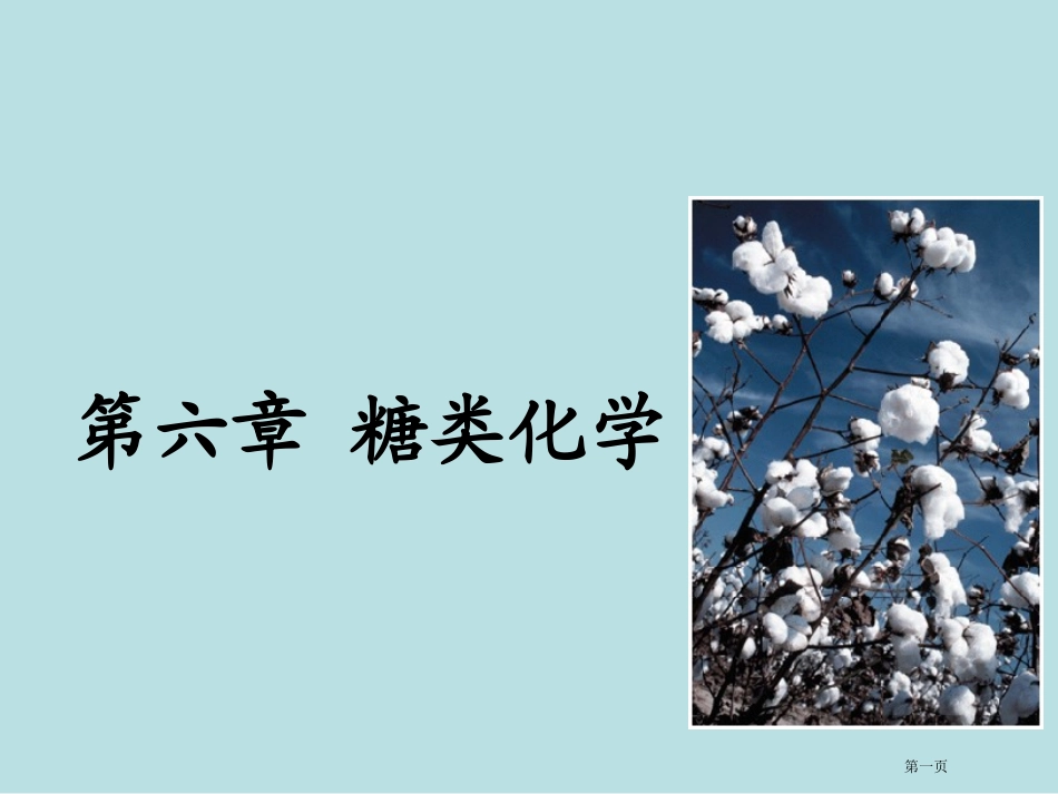 糖类化学专业知识讲座名师优质课赛课一等奖市公开课获奖课件.pptx_第1页
