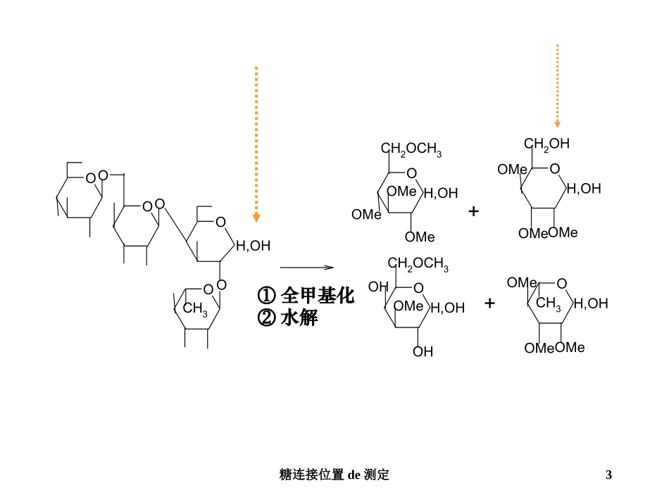 糖连接位置的测定培训课件.pptx_第3页