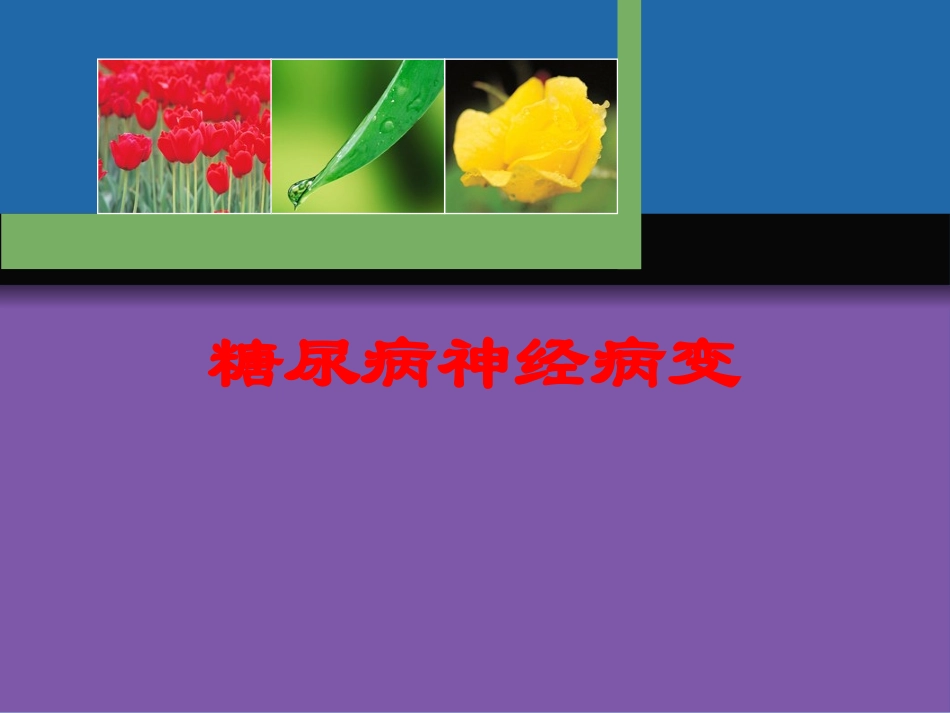 糖尿病神经病变培训课件.pptx_第1页