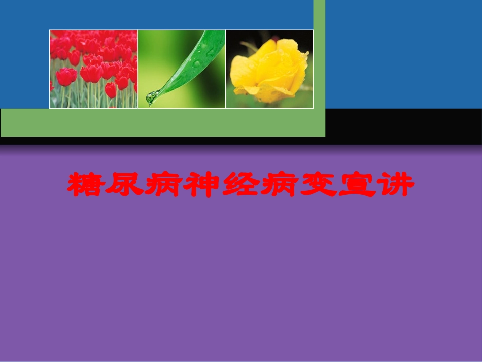 糖尿病神经病变宣讲培训课件.pptx_第1页