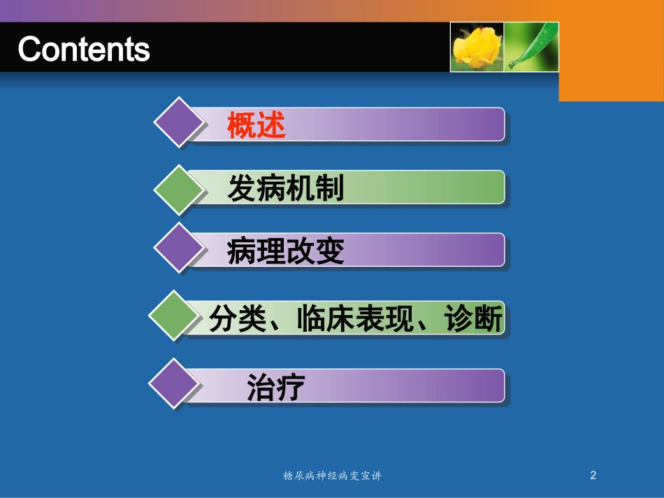 糖尿病神经病变宣讲培训课件.pptx_第2页