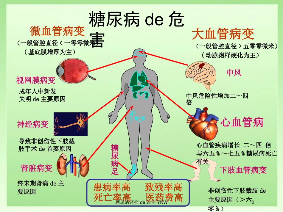 糖尿病肾病的诊治YKW培训课件.pptx_第2页