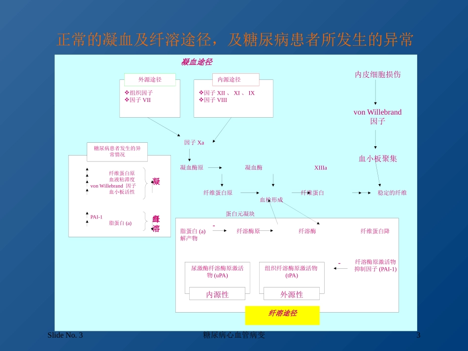 糖尿病心血管病变培训课件.pptx_第3页