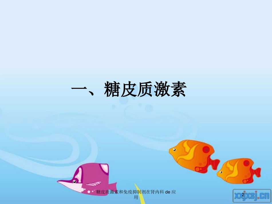 糖皮质激素和免疫抑制剂在肾内科的应用培训课件.pptx_第2页