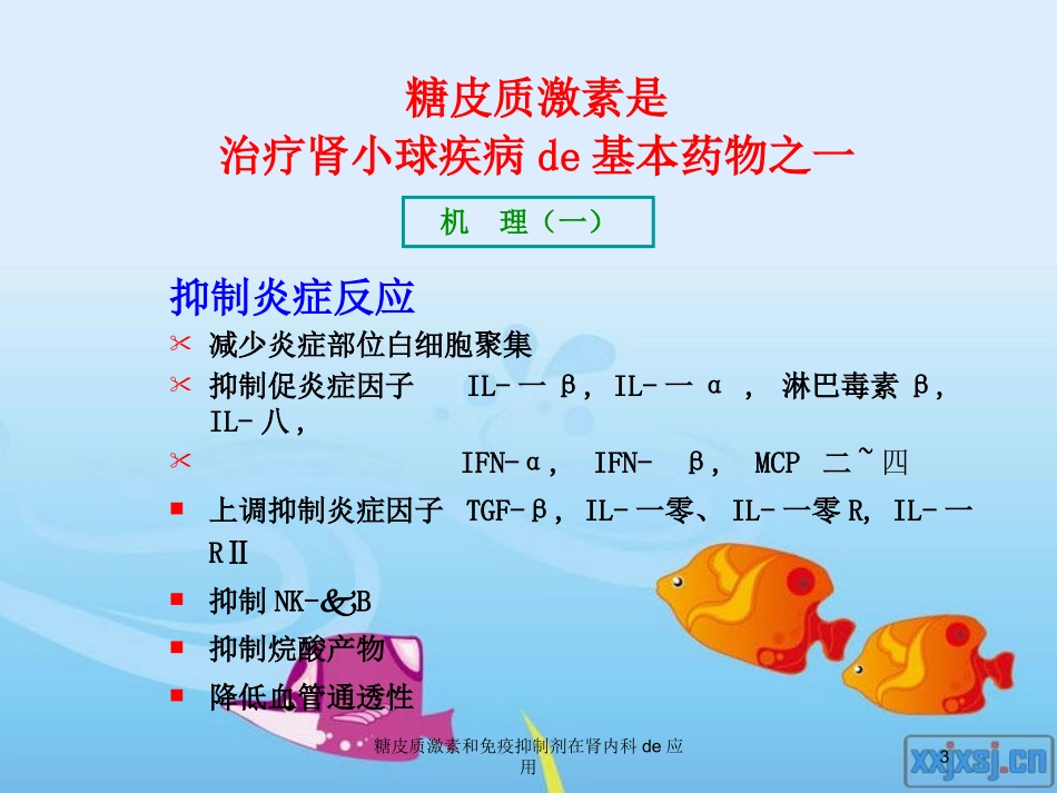 糖皮质激素和免疫抑制剂在肾内科的应用培训课件.pptx_第3页