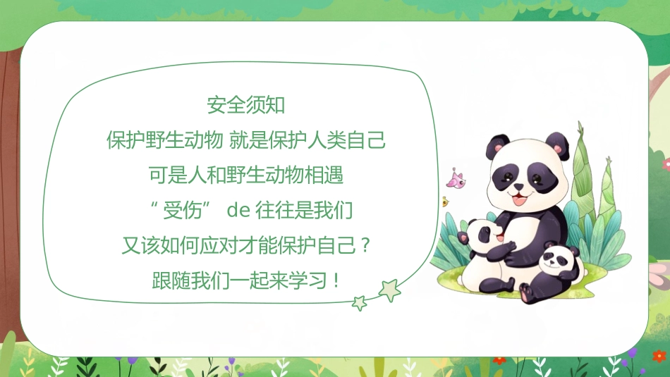 动物日 保护野生濒危动物 28.pptx_第2页