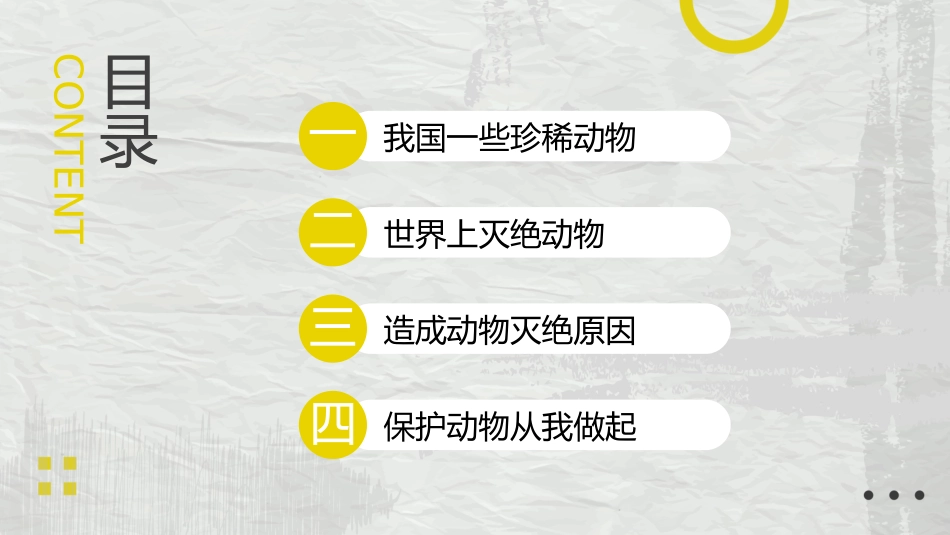 动物日 保护野生濒危动物 69.pptx_第2页