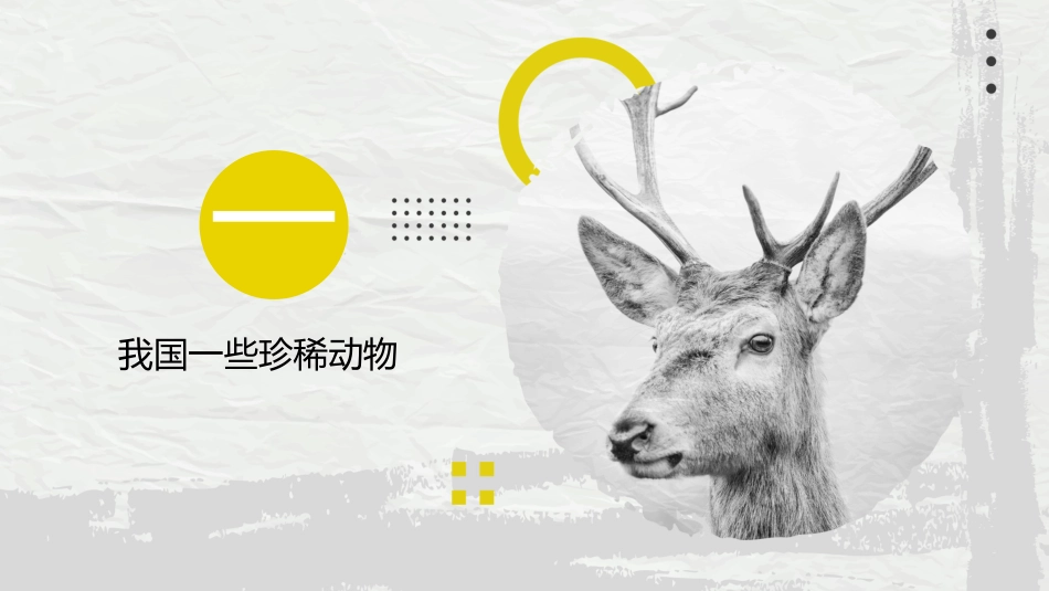 动物日 保护野生濒危动物 69.pptx_第3页