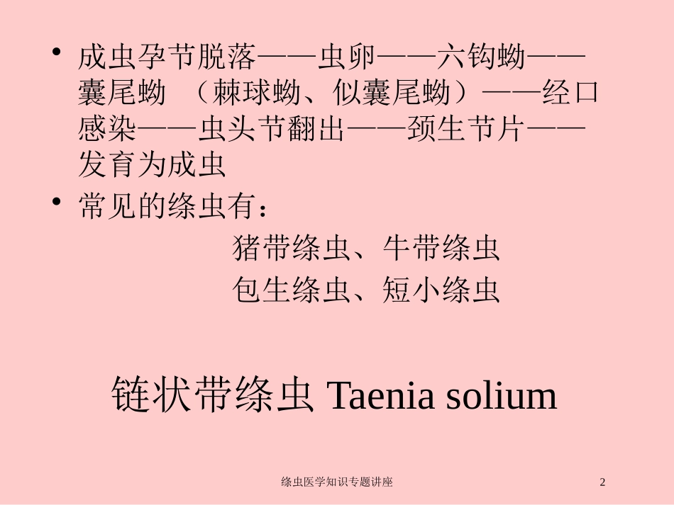 绦虫医学知识专题讲座培训课件.pptx_第2页