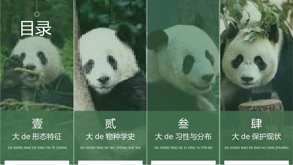 动物日保护野生濒危动物20.pptx_第2页