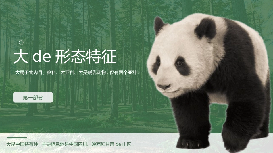动物日保护野生濒危动物20.pptx_第3页