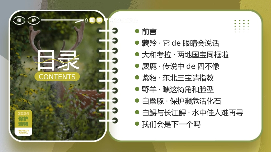 动物日保护野生濒危动物40.pptx_第2页