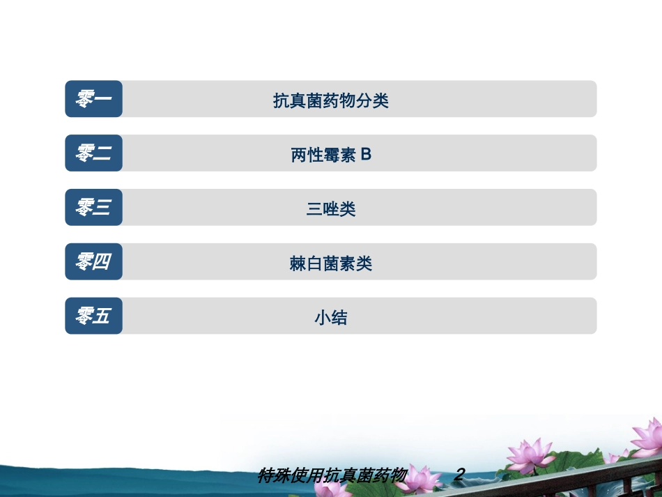 特殊使用抗真菌药物培训课件.pptx_第2页
