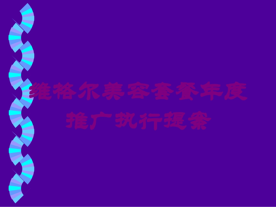 维格尔美容套餐年度推广执行提案培训课件.pptx_第1页