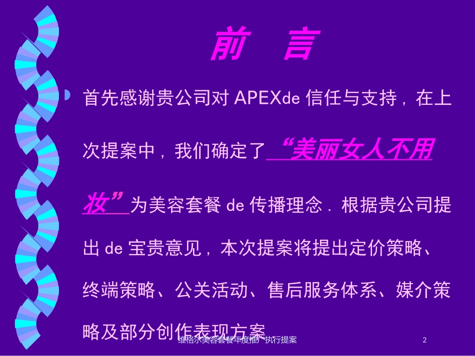 维格尔美容套餐年度推广执行提案培训课件.pptx_第2页