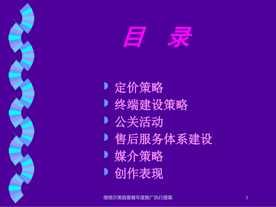维格尔美容套餐年度推广执行提案培训课件.pptx_第3页
